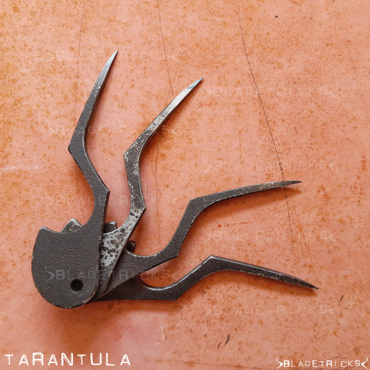 TARANTULA 5.0
